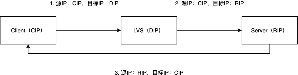 LVS/DR