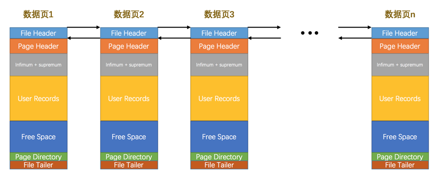 File Header